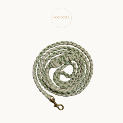 Luxury Round Leash – Mint & Cream