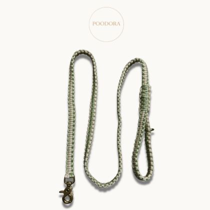 Luxury Cobra Leash – Mint & Cream