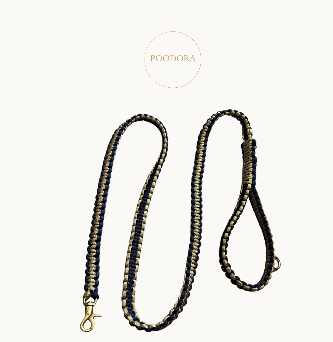 Luxury Cobra Leash – Royal Navy & Gold