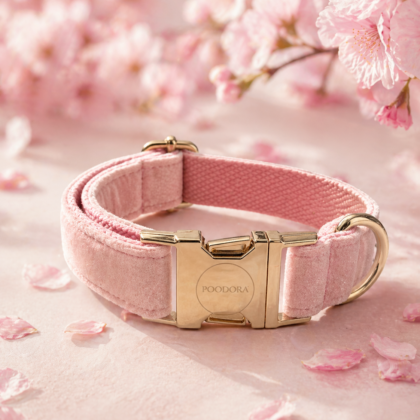 POODORA™ Royal Velvet Dog Collar – Dusty Rose