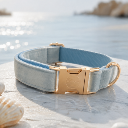 POODORA™ Royal Velvet Dog Collar – Azure Sky
